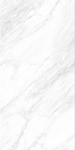 加斯托白-4