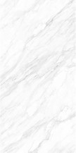 加斯托白-1