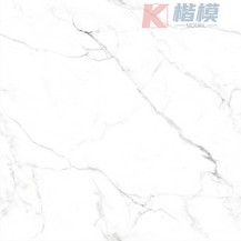 比利亚白-5
