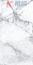 莱奇白-2