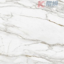 雅仕白-8