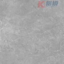  博洛尼灰-8