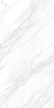 加斯托白-3