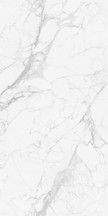 麦斯库白三联纹1200*2400-4
