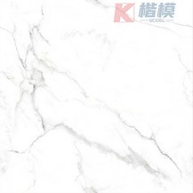 比利亚白-6