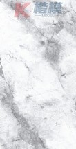莱奇白-3