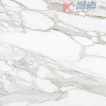 雅仕白-6