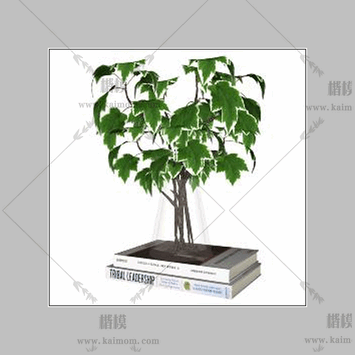 花瓶书本-1