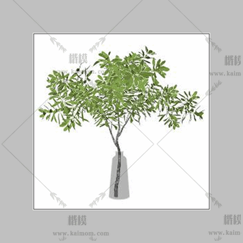 现代小花瓶349-1