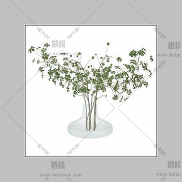 现代优雅花瓶-1