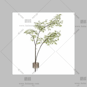 现代玻璃花瓶010-1