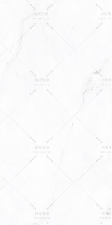 林肯白-3