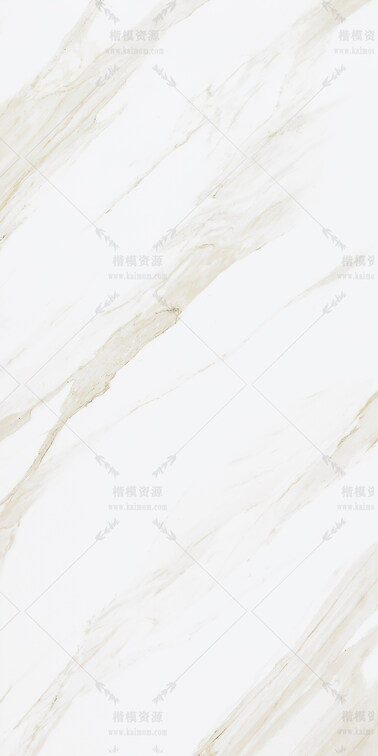2 鱼肚白-6