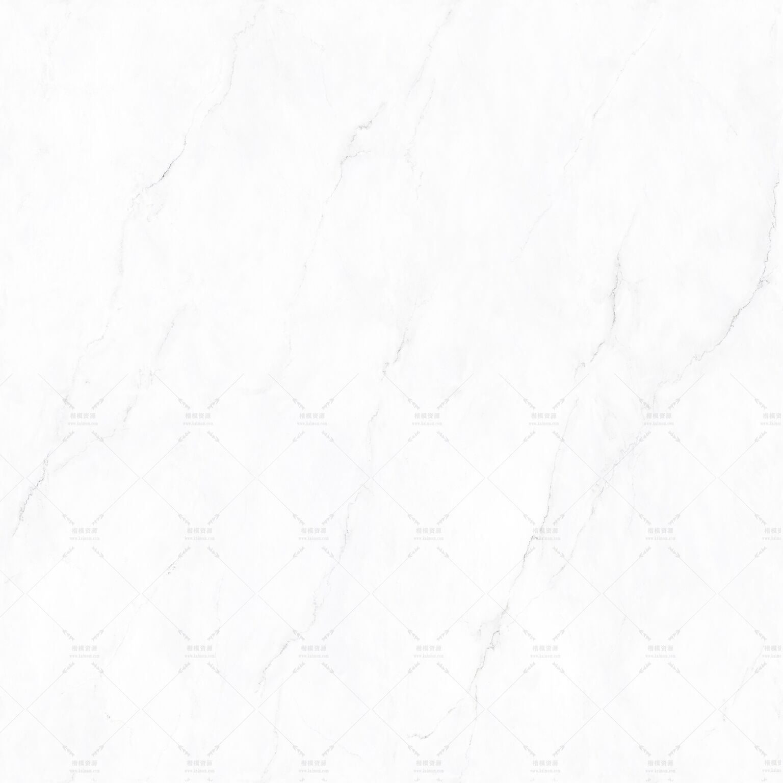 林肯白-1