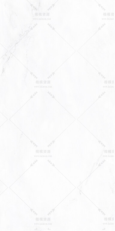 林肯白-9