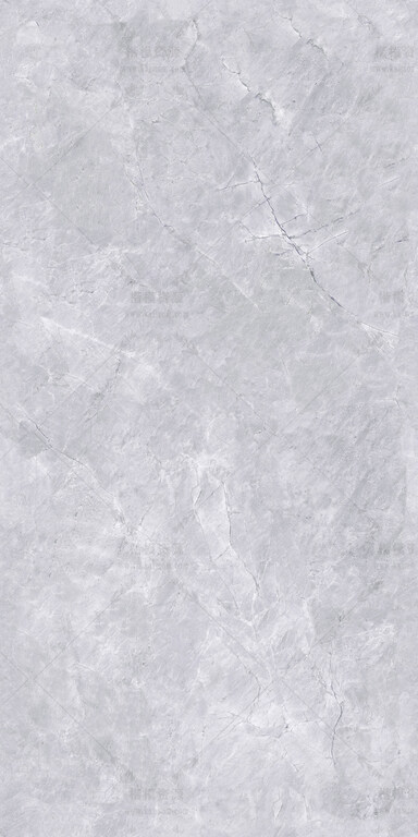 鱼肚灰-5