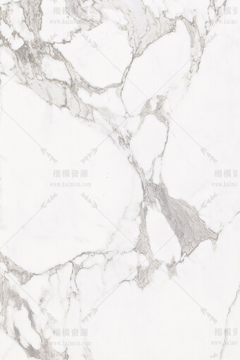 鱼肚白600X900-3