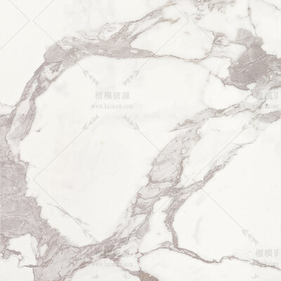 鱼肚白   600X600-4