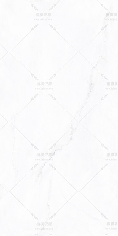 林肯白-7