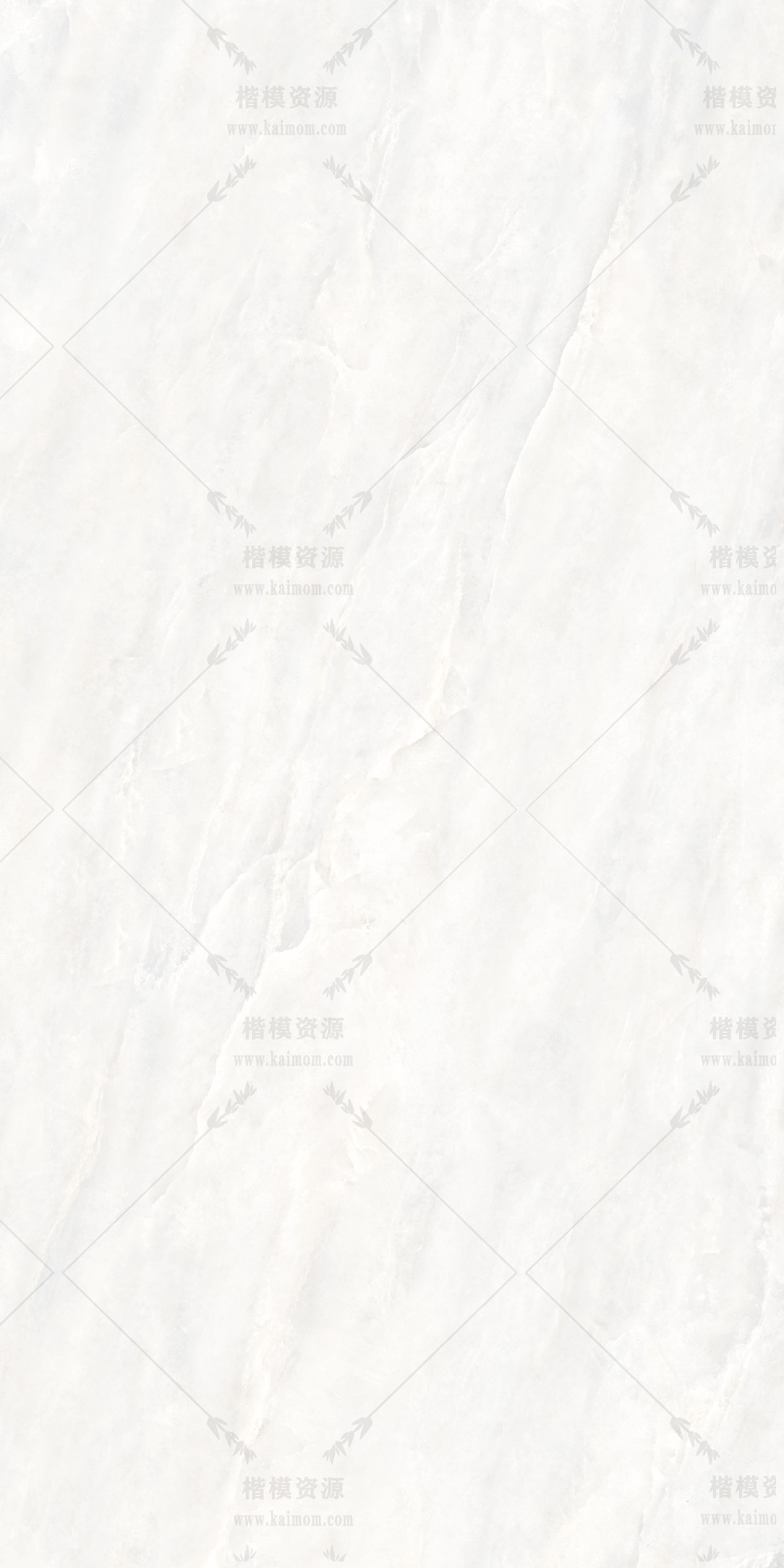 白玉-8