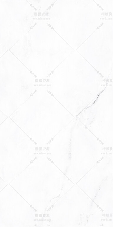 林肯白-2