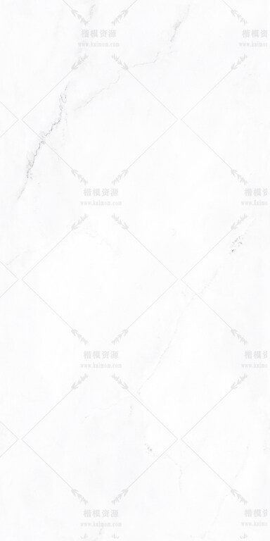 林肯白-6