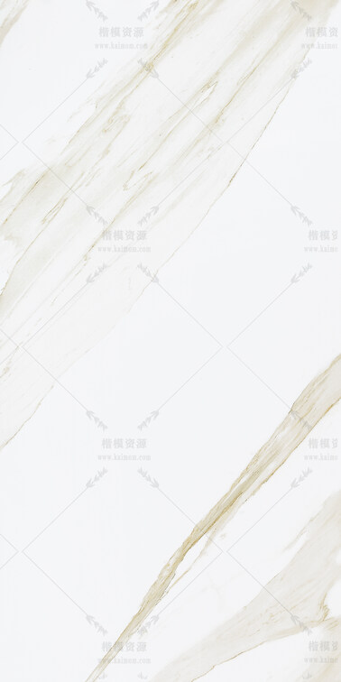 2 鱼肚白-10