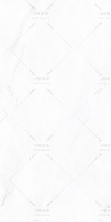 林肯白-4