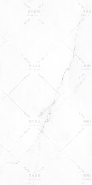 林肯白-8