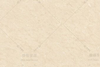 新顶级莎安娜600X900-4