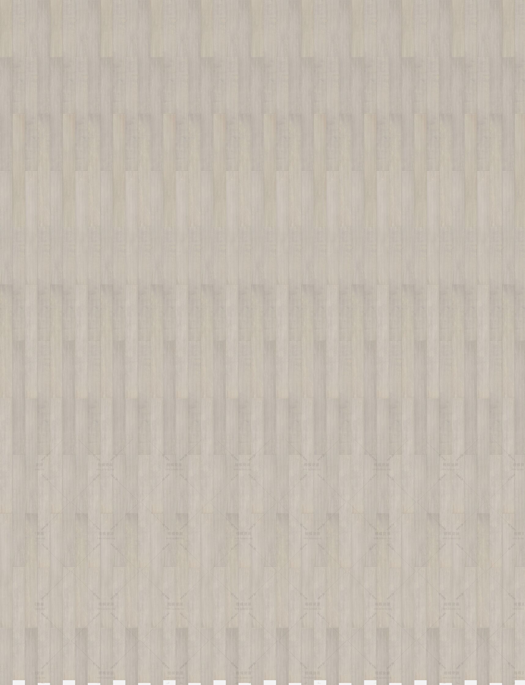 XGCB3024  槭木-3