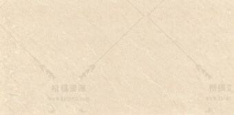 新顶级莎安娜600X1200-4