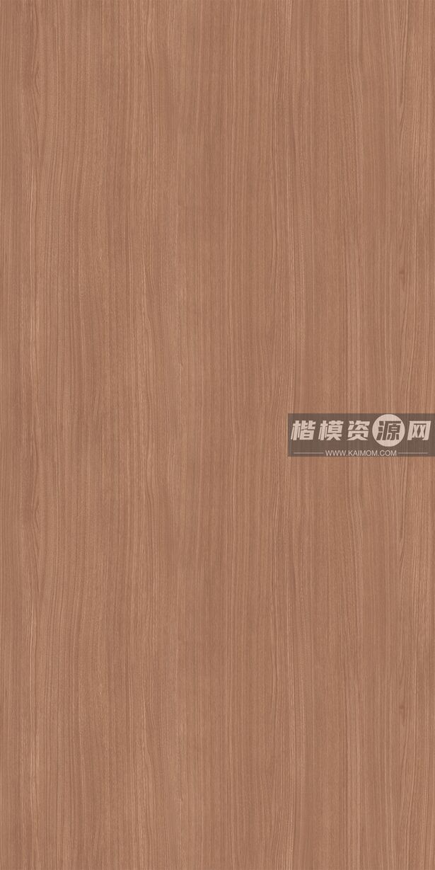 P176EA_白榆木-1