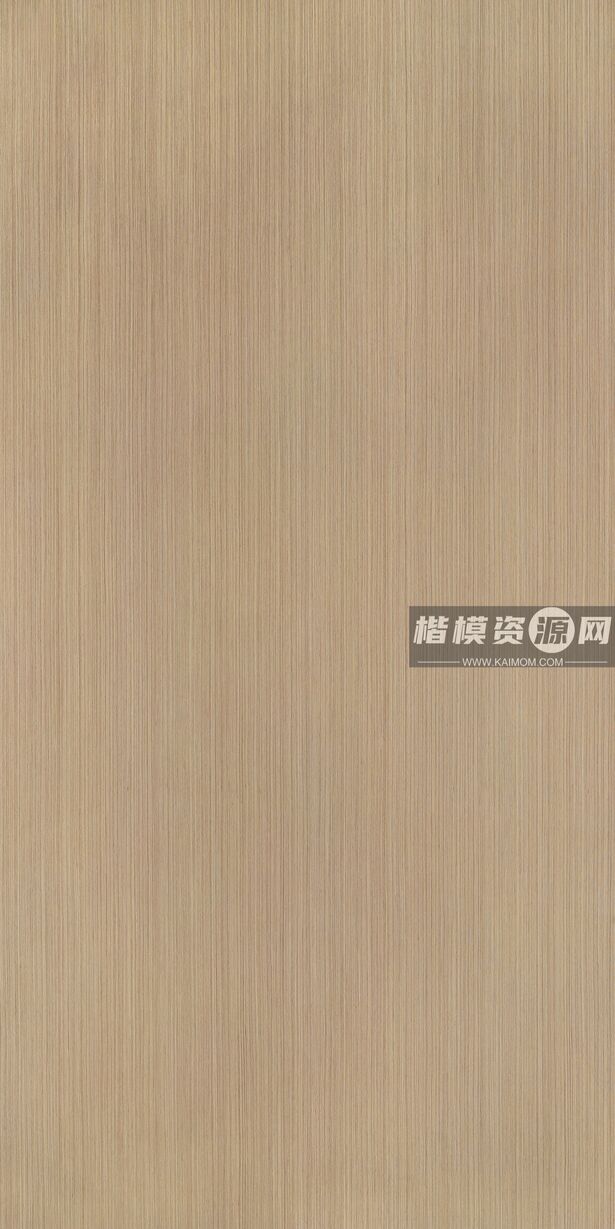 K6342AB_银丝钢刷-1
