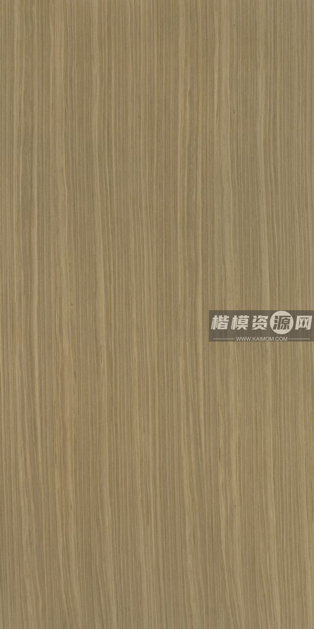 K6309AB_秋香木钢刷3米-1
