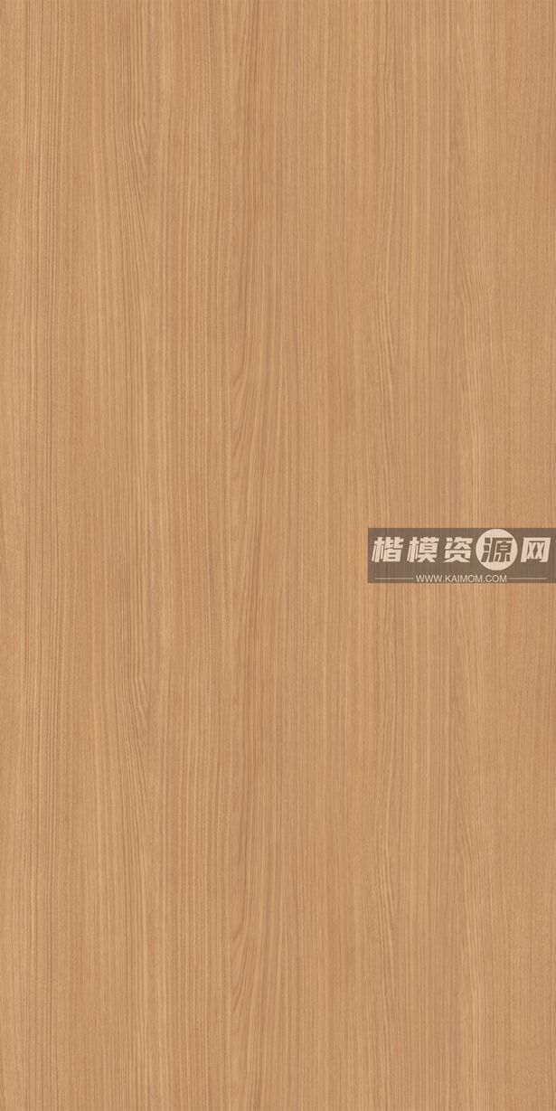 P197AA_栓木-1