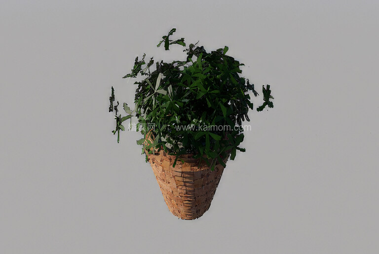 陶瓷花盆罐D5模型下载-1