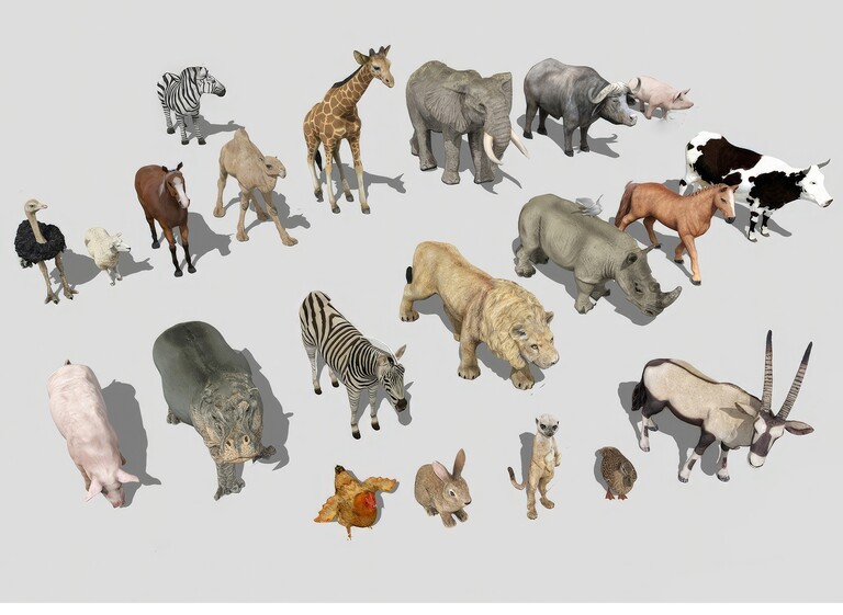 动物_宠物_家禽SU模型下载-1