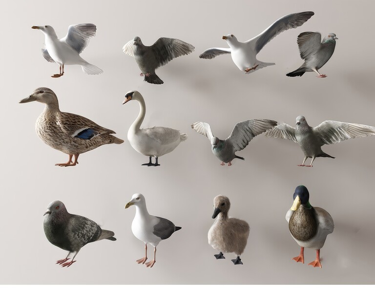 动物_宠物_家禽SU模型下载-1