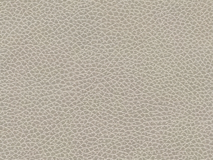 细纹皮革贴图下载-1