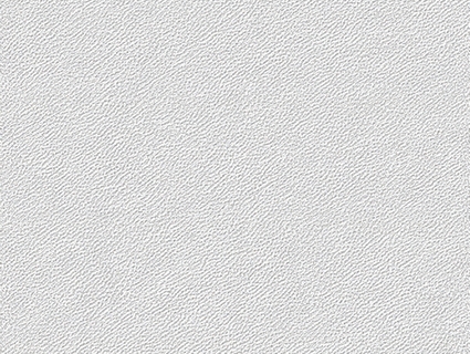 细纹皮革贴图下载-1