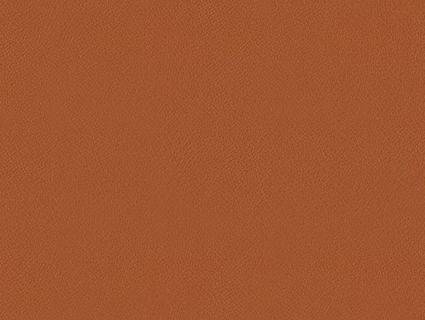 细纹皮革贴图下载-1