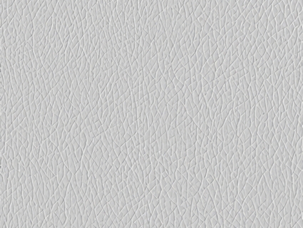 粗纹皮革无缝贴图下载-1