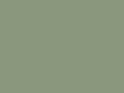 细纹皮革贴图下载-1