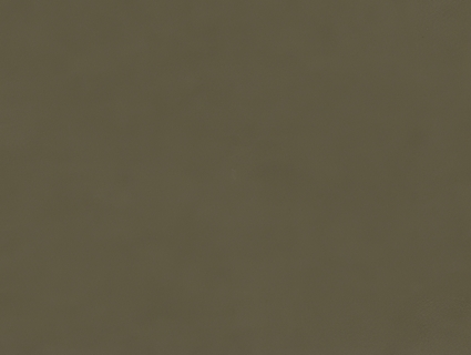 细纹皮革贴图下载-1