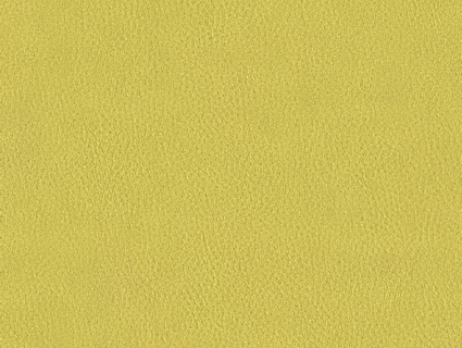 细纹皮革贴图下载-1