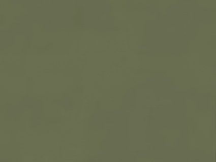 细纹皮革贴图下载-1