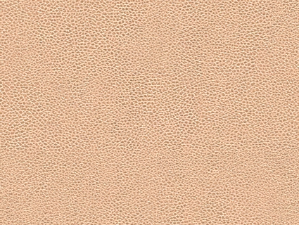 细纹皮革贴图下载-1