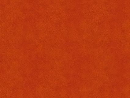 细纹皮革贴图下载-1