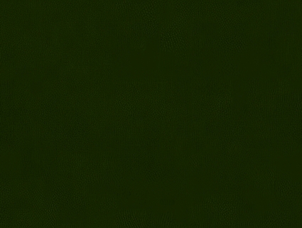 细纹皮革贴图下载-1